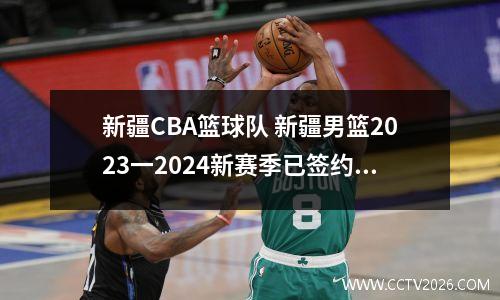新疆CBA篮球队 新疆男篮2023一2024新赛季已签约几个外援