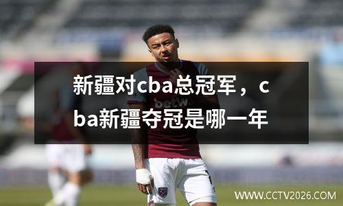 新疆对cba总冠军，cba新疆夺冠是哪一年