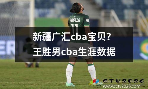 新疆广汇cba宝贝？王胜男cba生涯数据
