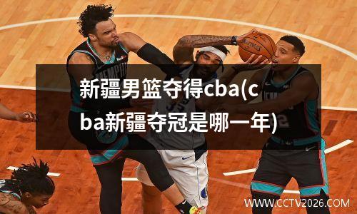 新疆男篮夺得cba(cba新疆夺冠是哪一年)
