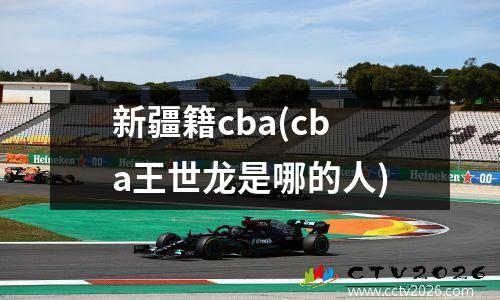 新疆籍cba(cba王世龙是哪的人)