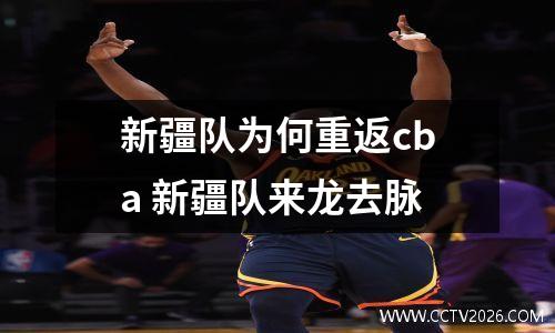 新疆队为何重返cba 新疆队来龙去脉