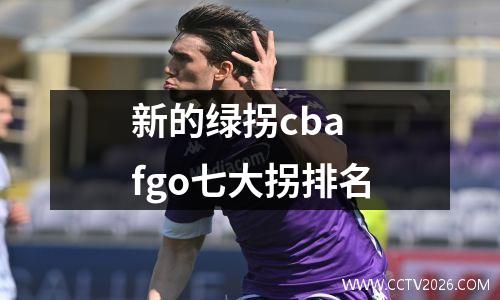 新的绿拐cba fgo七大拐排名