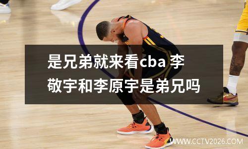 是兄弟就来看cba 李敬宇和李原宇是弟兄吗