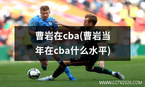 曹岩在cba(曹岩当年在cba什么水平)