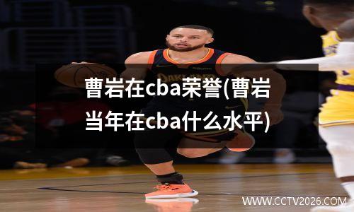 曹岩在cba荣誉(曹岩当年在cba什么水平)