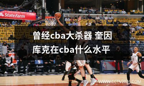曾经cba大杀器 奎因库克在cba什么水平