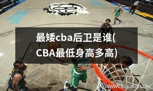 最矮cba后卫是谁(CBA最低身高多高)