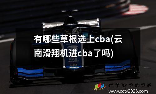 有哪些草根选上cba(云南滑翔机进cba了吗)