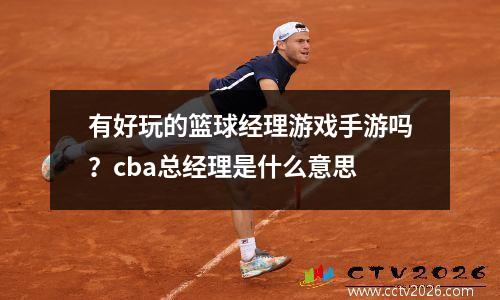 有好玩的篮球经理游戏手游吗？cba总经理是什么意思