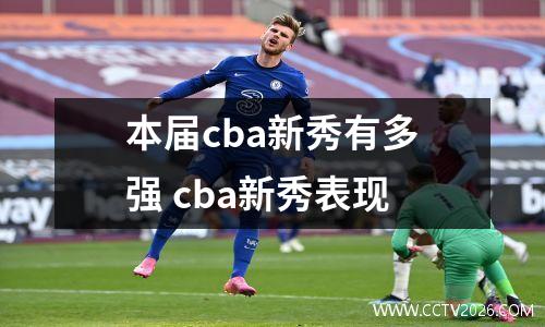 本届cba新秀有多强 cba新秀表现