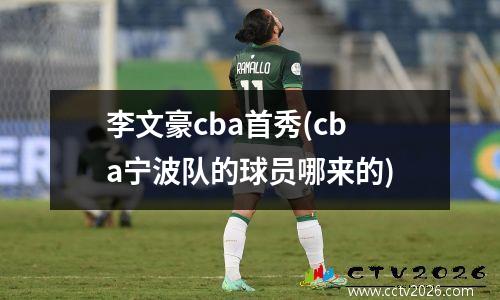 李文豪cba首秀(cba宁波队的球员哪来的)
