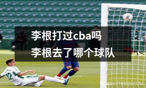 李根打过cba吗 李根去了哪个球队