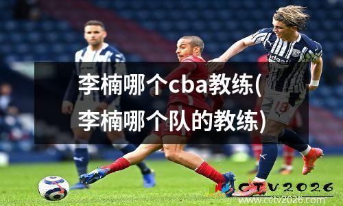 李楠哪个cba教练(李楠哪个队的教练)