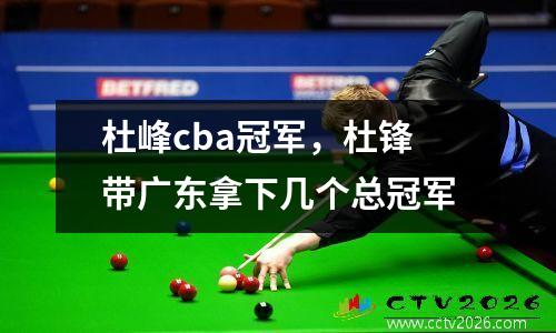 杜峰cba冠军，杜锋带广东拿下几个总冠军