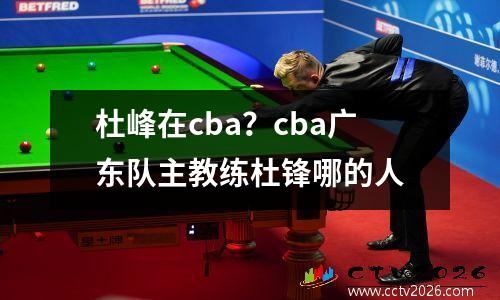 杜峰在cba？cba广东队主教练杜锋哪的人