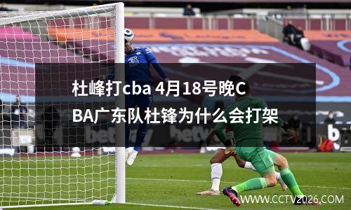 杜峰打cba 4月18号晚CBA广东队杜锋为什么会打架