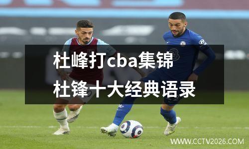 杜峰打cba集锦 杜锋十大经典语录