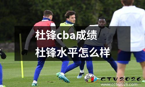 杜锋cba成绩 杜锋水平怎么样