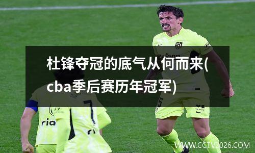 杜锋夺冠的底气从何而来(cba季后赛历年冠军)