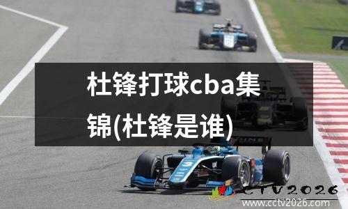 杜锋打球cba集锦(杜锋是谁)
