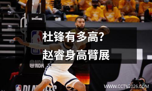 杜锋有多高？赵睿身高臂展