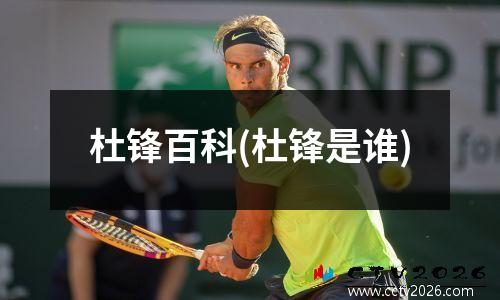 杜锋百科(杜锋是谁)