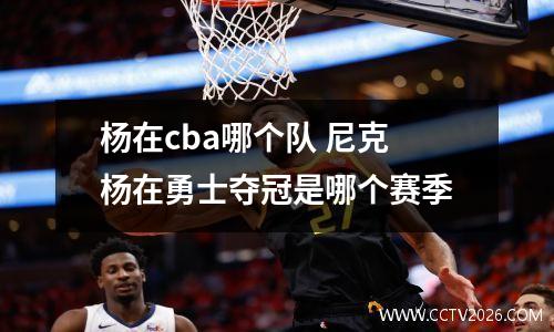 杨在cba哪个队 尼克杨在勇士夺冠是哪个赛季