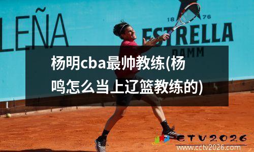 杨明cba最帅教练(杨鸣怎么当上辽篮教练的)