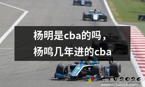 杨明是cba的吗，杨鸣几年进的cba