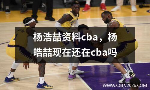 杨浩喆资料cba，杨皓喆现在还在cba吗