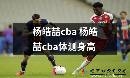 杨皓喆cba 杨皓喆cba体测身高