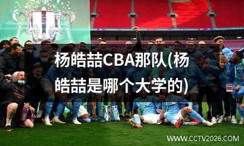 杨皓喆CBA那队(杨皓喆是哪个大学的)