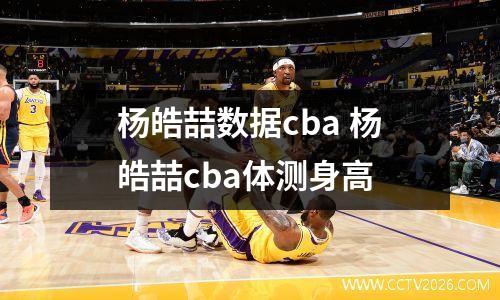 杨皓喆数据cba 杨皓喆cba体测身高
