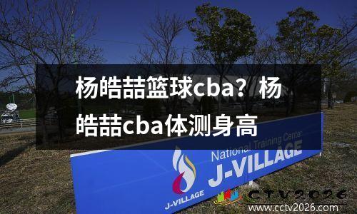 杨皓喆篮球cba？杨皓喆cba体测身高