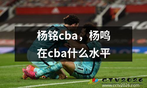 杨铭cba，杨鸣在cba什么水平