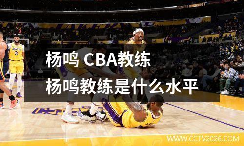 杨鸣 CBA教练 杨鸣教练是什么水平