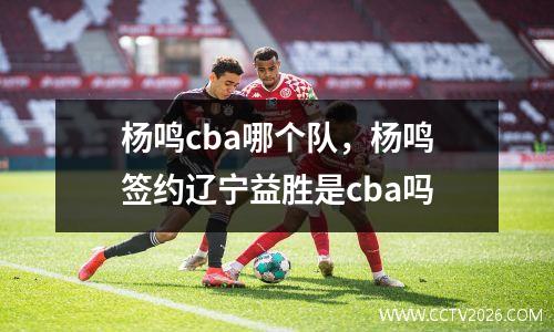 杨鸣cba哪个队，杨鸣签约辽宁益胜是cba吗