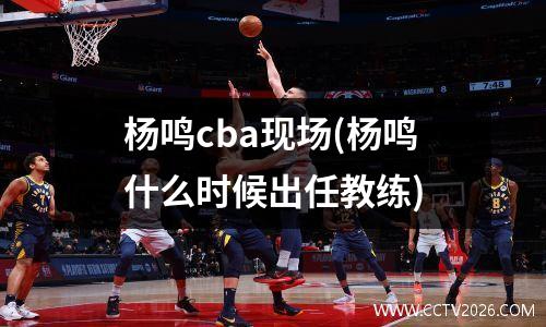 杨鸣cba现场(杨鸣什么时候出任教练)