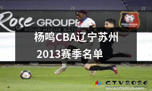 杨鸣CBA辽宁苏州 2013赛季名单