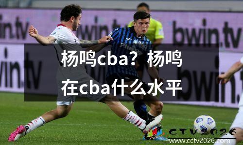 杨鸣cba？杨鸣在cba什么水平