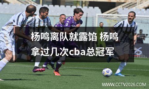 杨鸣离队就露馅 杨鸣拿过几次cba总冠军