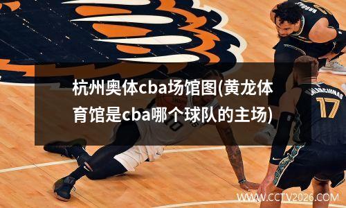 杭州奥体cba场馆图(黄龙体育馆是cba哪个球队的主场)