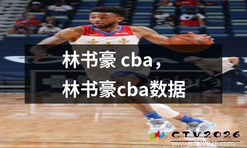 林书豪 cba，林书豪cba数据