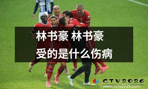 林书豪 林书豪受的是什么伤病