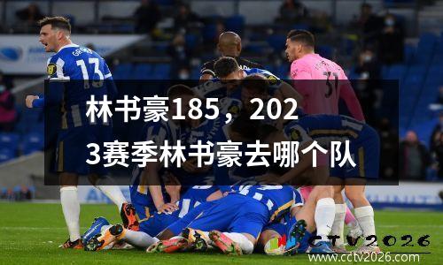 林书豪185，2023赛季林书豪去哪个队