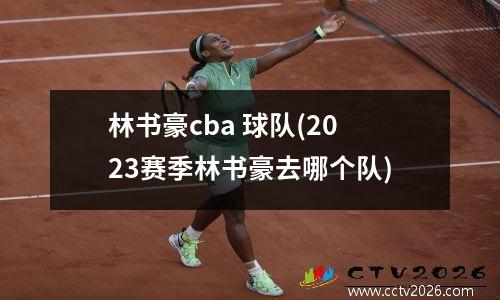 林书豪cba 球队(2023赛季林书豪去哪个队)