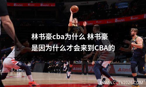 林书豪cba为什么 林书豪是因为什么才会来到CBA的