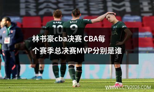 林书豪cba决赛 CBA每个赛季总决赛MVP分别是谁