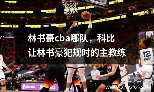 林书豪cba哪队，科比让林书豪犯规时的主教练